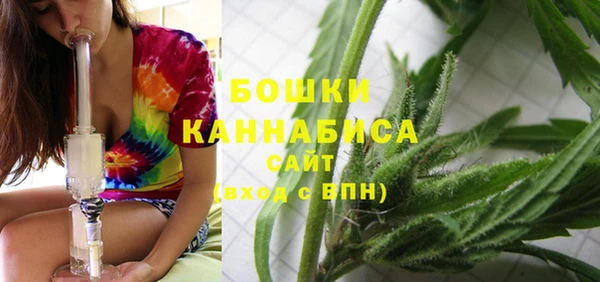 PSILOCYBIN Баксан
