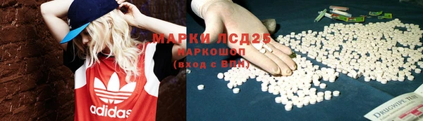 ПСИЛОЦИБИНОВЫЕ ГРИБЫ Аркадак