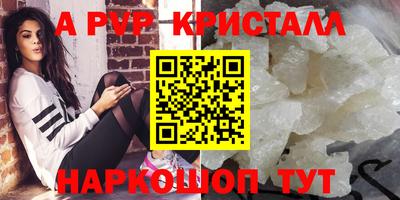 ECSTASY Владимир