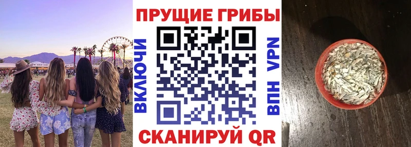 Псилоцибиновые грибы MAGIC MUSHROOMS  Верхняя Салда 